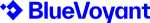 BlueVoyant_logo