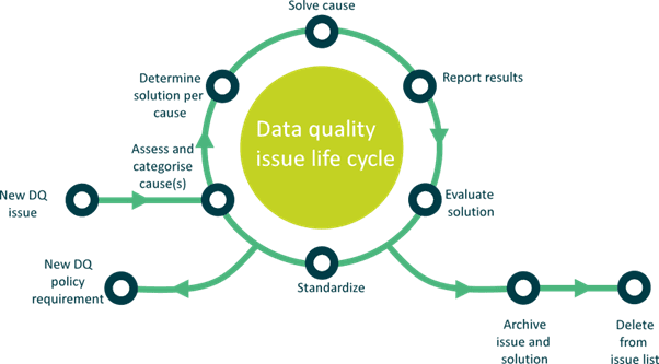 Data quality issue life cycle